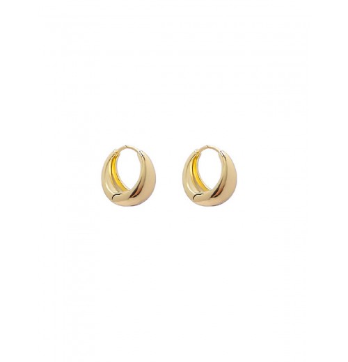  Gold Shining Decorate Earrings