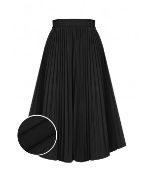 Black  Elegant Pleated Skirt