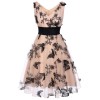 Nude  Lace Butterfly Swing Vintage Dress