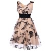 Nude  Lace Butterfly Swing Vintage Dress